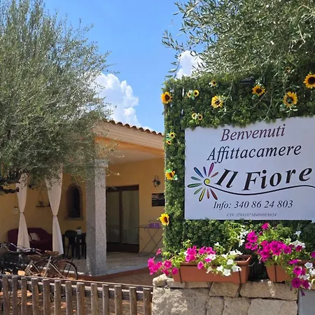 Il Fiore