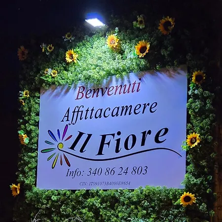 Il Fiore Pensión