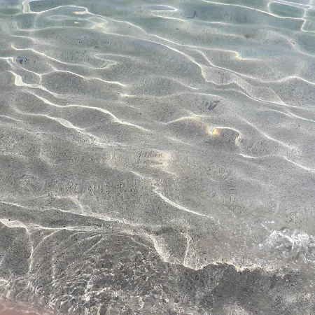 Il Fiore Гостевой дом 3*